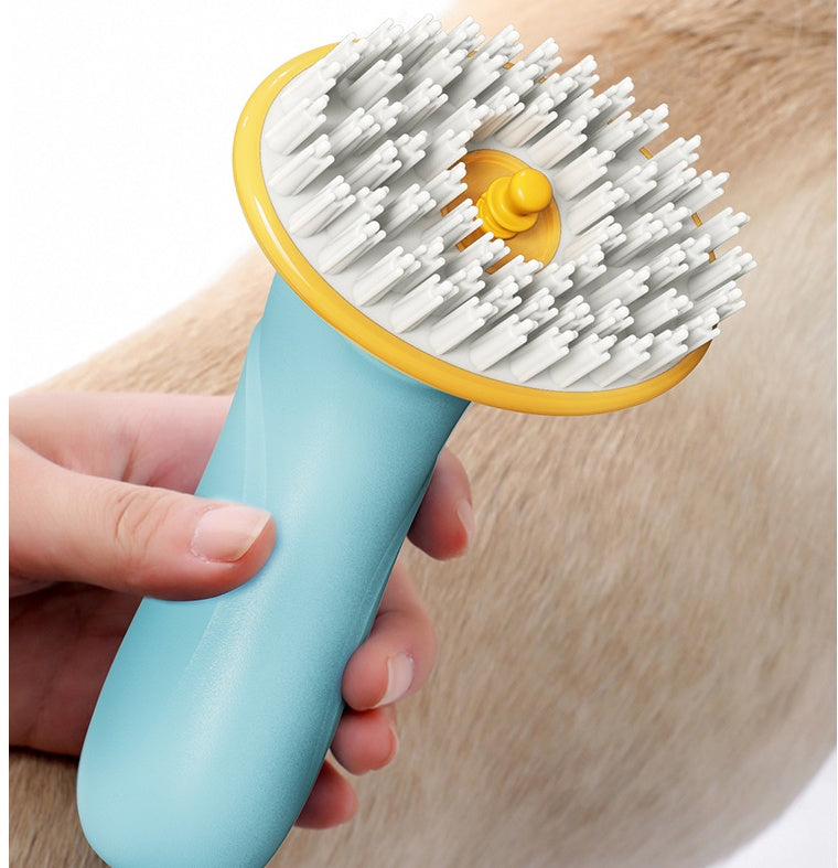 Brosse de bain
